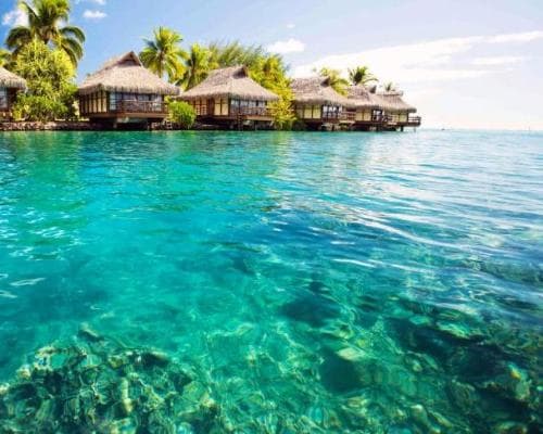 Bild - December in the Bahamas