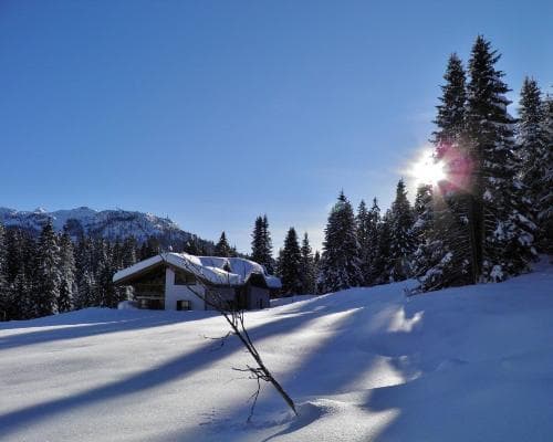 Immagine - Casa Bresadola*** Pellizzano