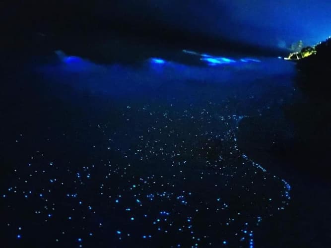 Imagem - VAADHOOO ISLAND Maldives, Maldives