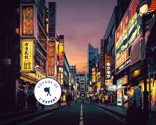 Le Japon en 15 jours par Routard