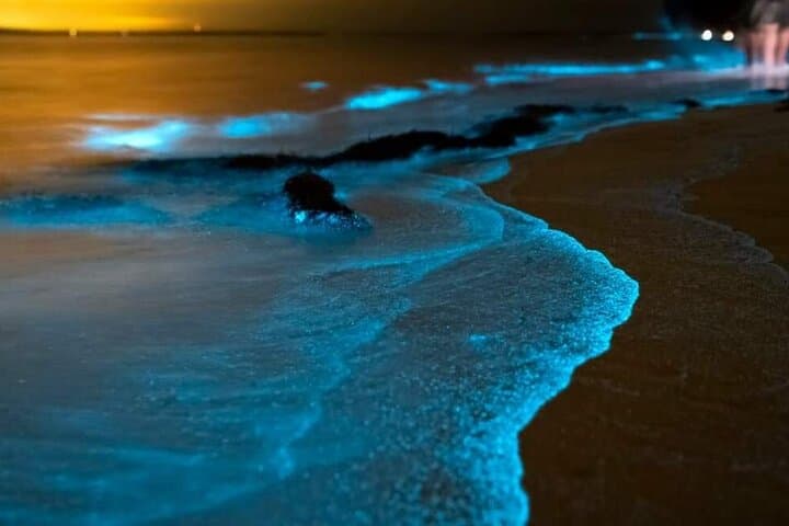 Imagine - Descopera Bangkok & natura din Phuket, Thailanda - noiembrie 2026