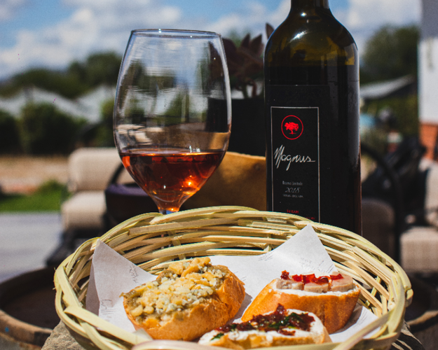 Imagen - Ruta del Vino y Singani en el sur