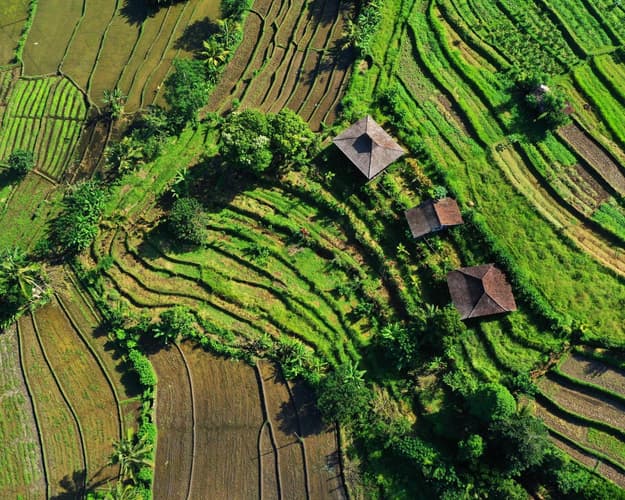 Image - Maak kennis met Bali & Gili Trawagan