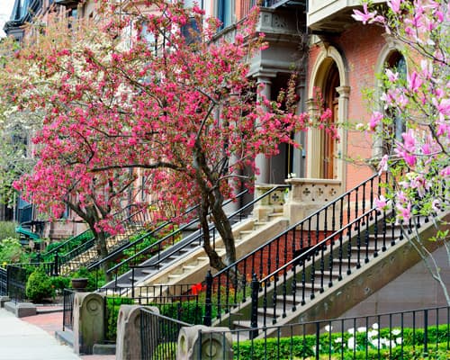 Bild - Mietwagenrundreise "Neuengland entdecken"