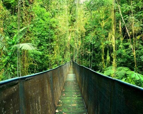 Beeld - Flydrive: Het beste van Costa Rica