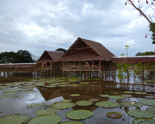 Imagem - HOTEL TARAPOTO CON TRASLADOS
