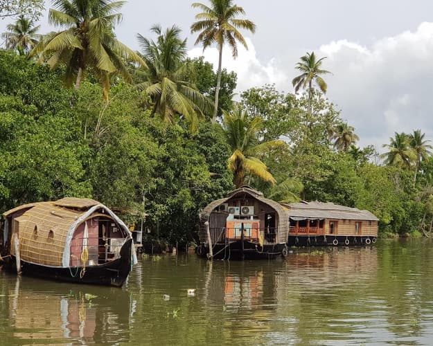 Image - Private Kurztour: „Magisches Kerala – Faszination Wildnis & 