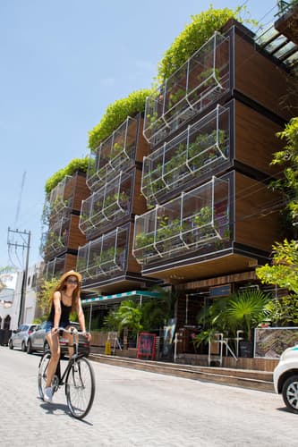 Image - SEMANA SANTA AVENTURA EN PLAYA DEL CARMEN