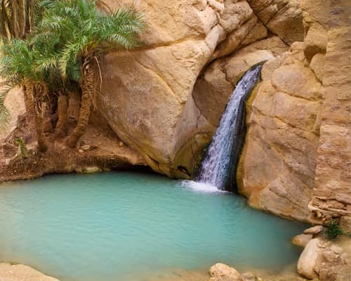 Immagine - Tunisia Tour Stellare partenza da Milano dal 25 apr al 02 mag