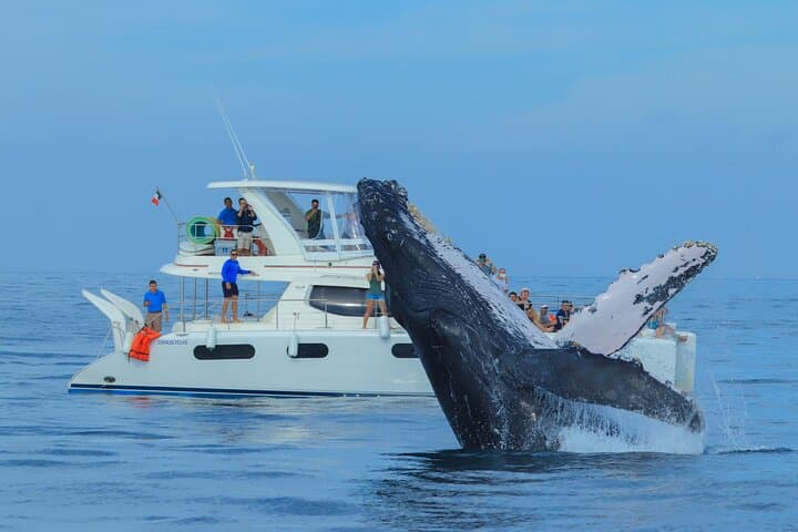 Image - LOS CABOS 3 NOCHES, DBL -ABR 10-13, CON BALLENAS