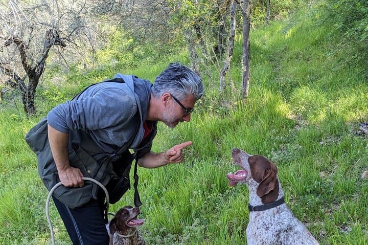 Image - Avventura alla ricerca del Tartufo ad Assisi