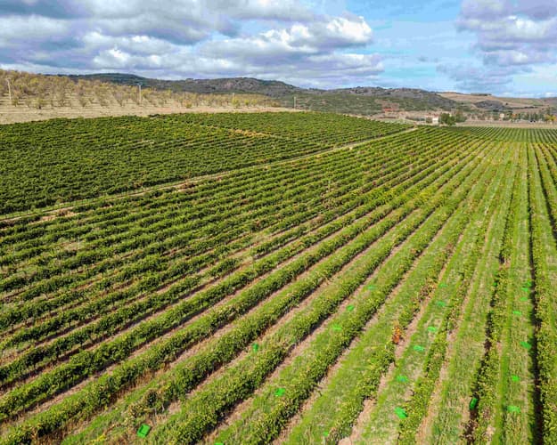Imagen - Pueblos Mágicos: Gran Ruta mágica del Vino