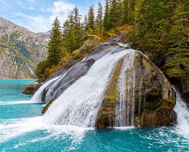 Immagine - ALASKA & YELLOWSTONE 15 AGOSTO 2026