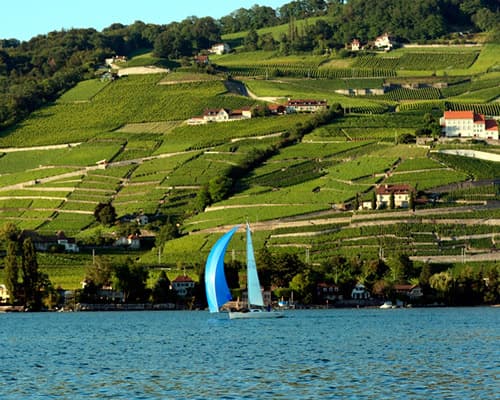 Image - Mit dem FlixBus nach Bern und per Zug nach Genf