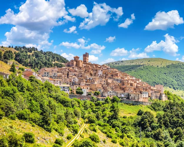 Image - CNA - Dolphin Watching