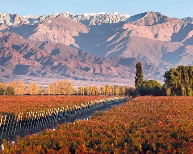 Image -  A trip to Mendoza