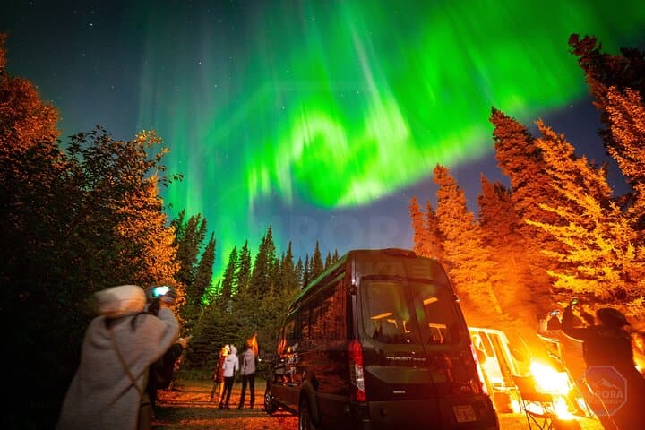 Image - 6 Days Alaska Adventure:  Aurora Hunt