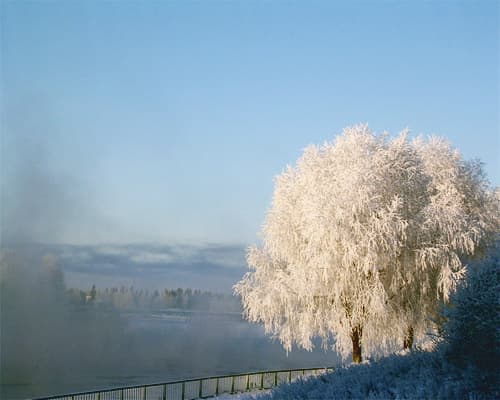 Imagen - MARAVILLAS DEL ARTICO: AVENTURA INVERNAL EN LAPONIA 2026 - Salida Lunes
