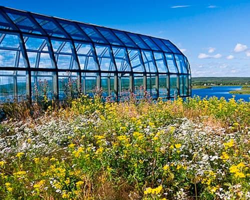 Image - CIRCULO POLAR Y CABO NORTE