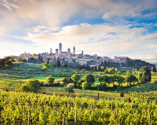 Imagen - Bajo el sol de la Toscana para gourmets