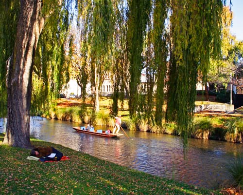 Imagen - PUKEKO 12 DIAS ISLA NORTE Y SUR CON WELLINGTON 2025/2026