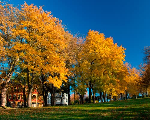 Imagen - The beautiful Norway and Nordic Capitals (2026)