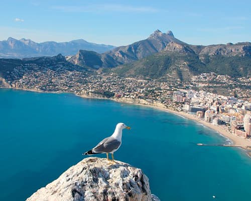 Image -  Un beau séjour pour se détendre à Calpe