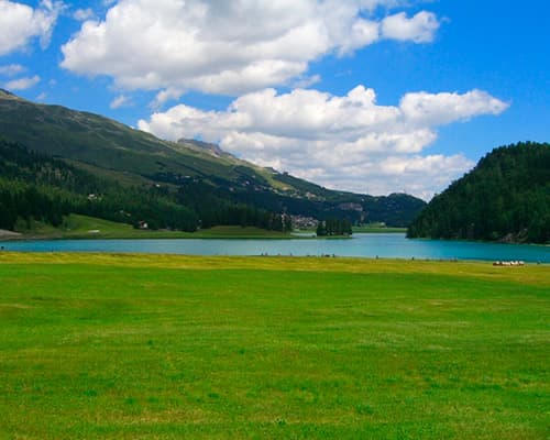 Imagen - SUIZA EN EL BERNINA EXPRESS (4 DIAS) 2026