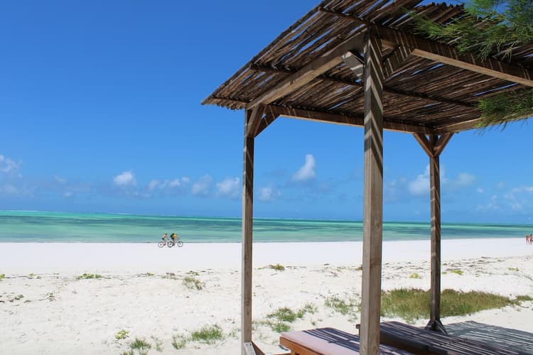 Image - Kivuli Beach Resort Paje Zanzibar Island, Tanzania