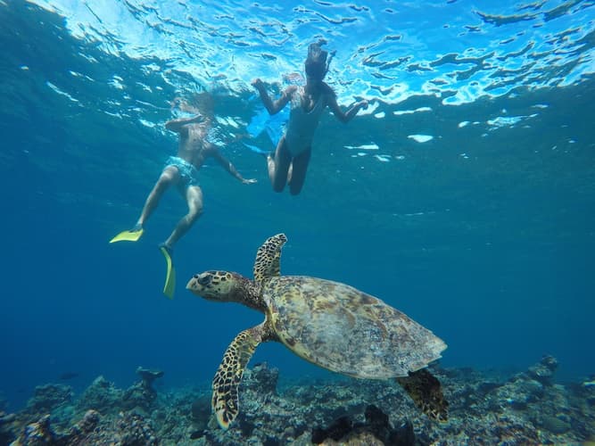 Imagine - Craciun 2025 cu familia - Sejur plaja Maldive