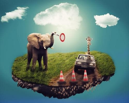 Image - Circuit Premier pas en Afrique du Sud - Marseille