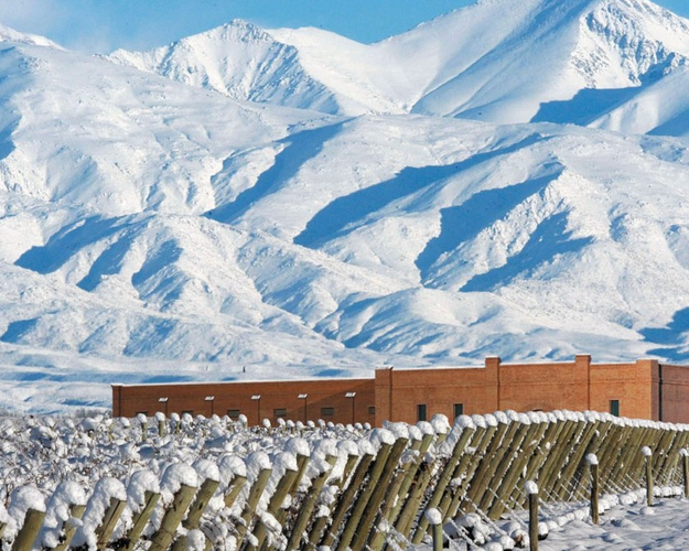 Imagem -  Mendoza: Rafting & Bike en Viñedos