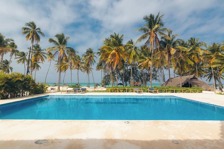 Obraz - Eco Monica Zanzibar