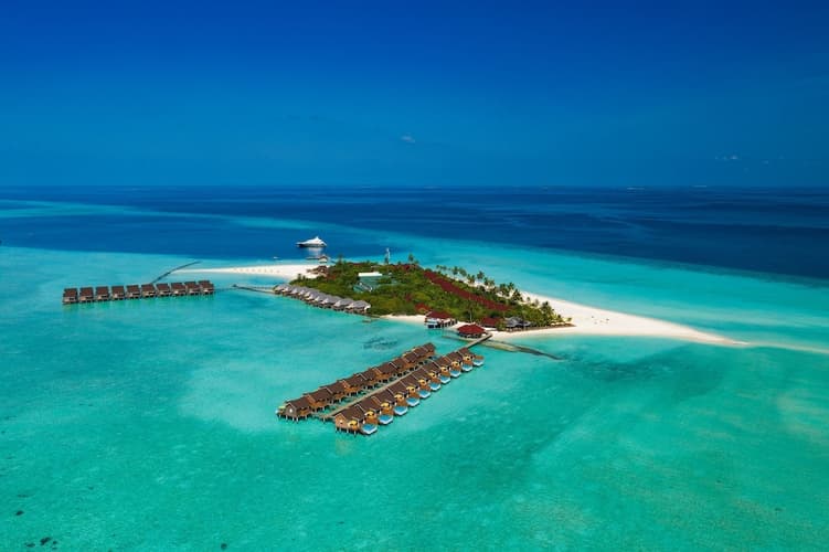 Imagen - Dhigufaru Island Resort , Maldives