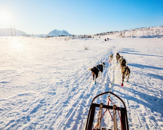 Imagen - Laponia - Puente de Diciembre en Levi - desde Albacete