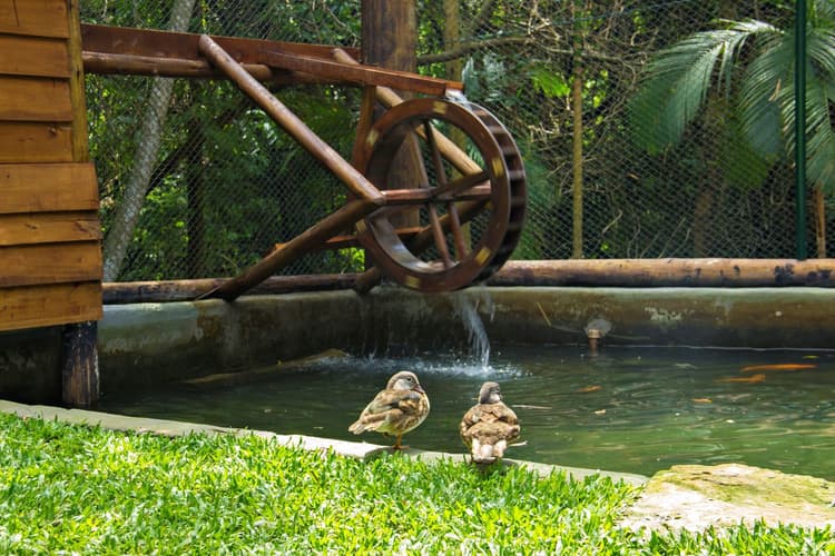 Imagen - Vacaciones de Verano en Costão do Santinho Resort Golf e Spa