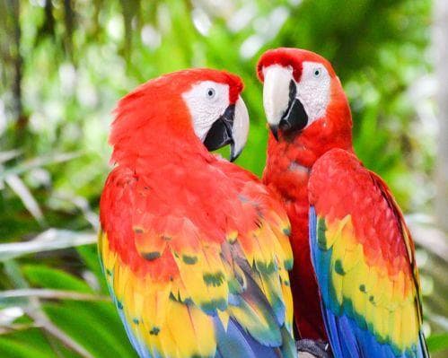 Imagen - HELLO CANCÚN (avión + hotel)