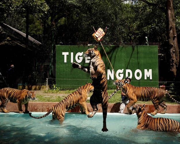 Image -  Thailand Trip//2+1 Pax//Ex-Mumbai 