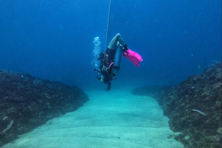 Image - Sumérgete en el Caribe: Buceo y Relax en Bocas del Toro