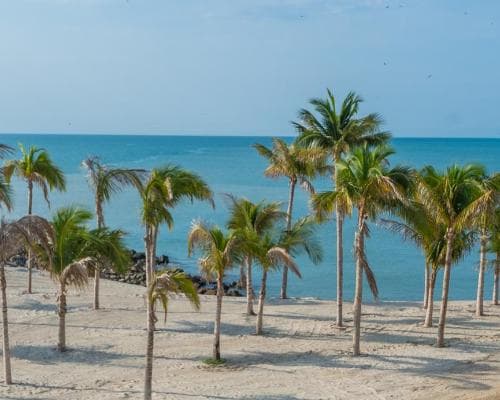 Imagen - Panamá Mágico: Compras y Escapada al Mar 