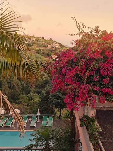 Image -  Ponta do Sol, Portugal