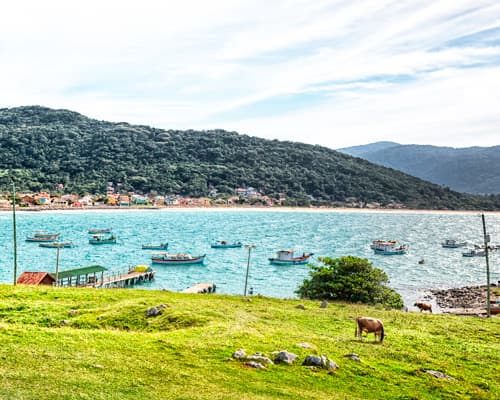 Imagen - Paquete a Floranópolis | Intercity Florianópolis 4*