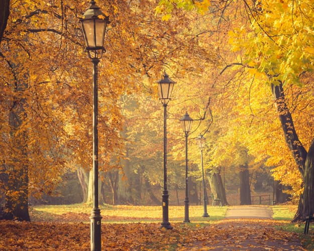 Image - 6 Days - Your Krakow Package Awaits