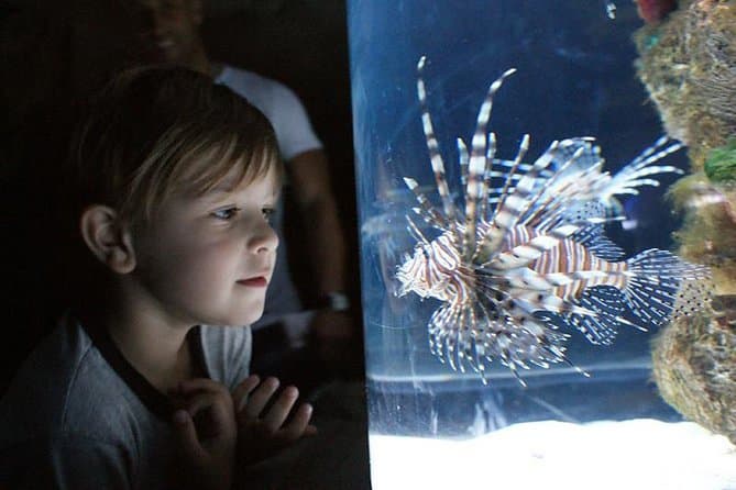 Imagen - Buenos Aires family plan: 02 noches + Temaiken