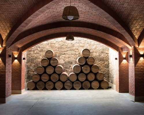 Imagen - Paquete en Tarija | Entre Cepas y Paisajes Full Day