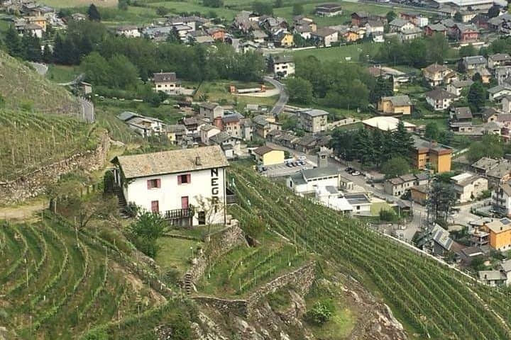 Image - Wine Roads of Europe