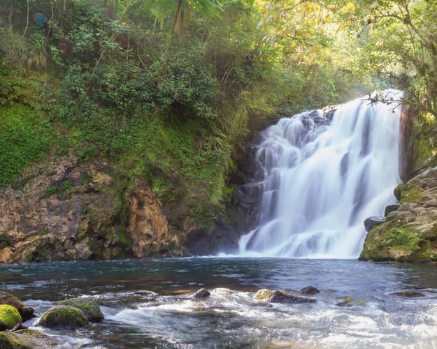 Imagen - NAVIDAD EN VERACRUZ PARA TODA LA FAMILIA | 4 DÍAS DE HOSPEDAJE EN EL HOTEL DOUBLE TREE