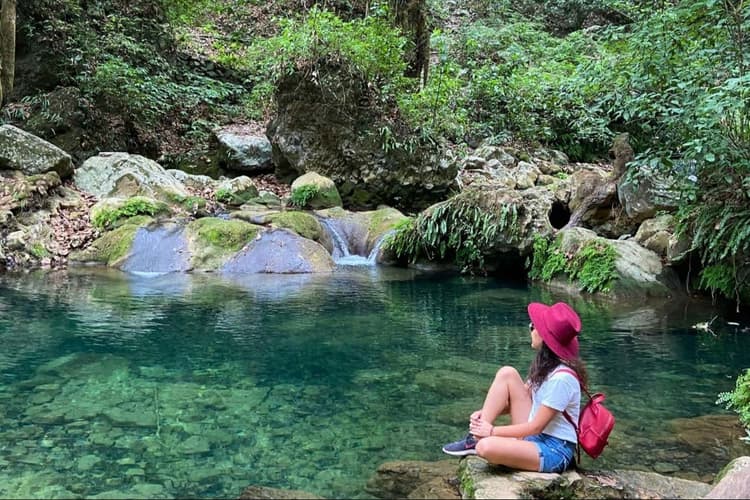Imagem - DESCUBRIENDO LA SIERRA GORDA 