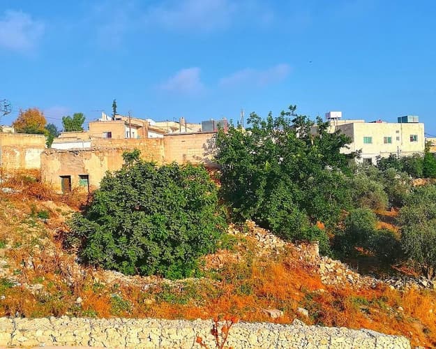 画像 - 4 Nights in Irbid, Jordan