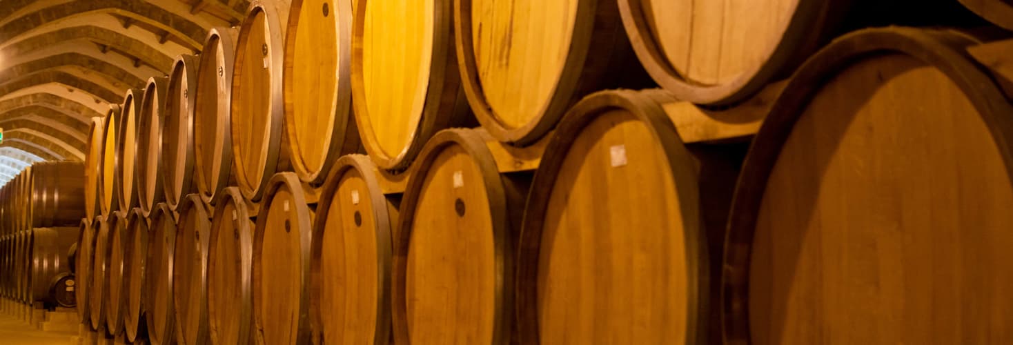 Image - Excursión a la Viña Concha y Toro